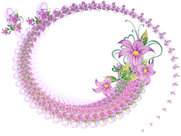 Цветочные виньетки на прозрачном фоне