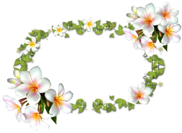 Прозрачная Цветочная рамка