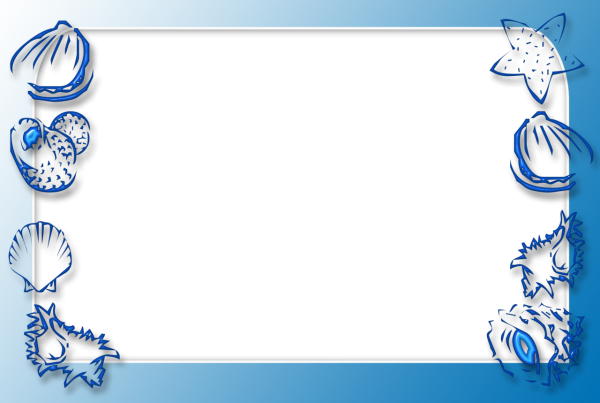 Рамка морская на прозрачном фоне