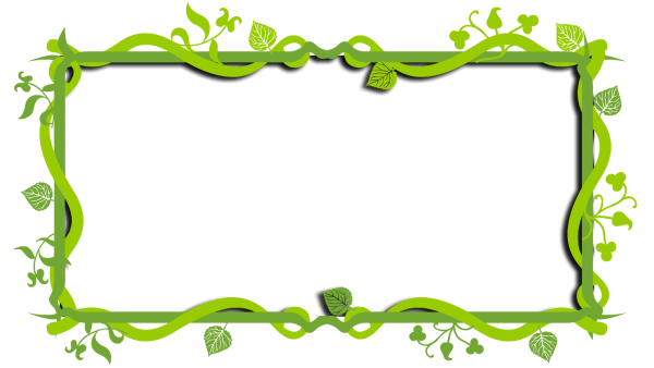 Зеленая рамка на прозрачном фоне