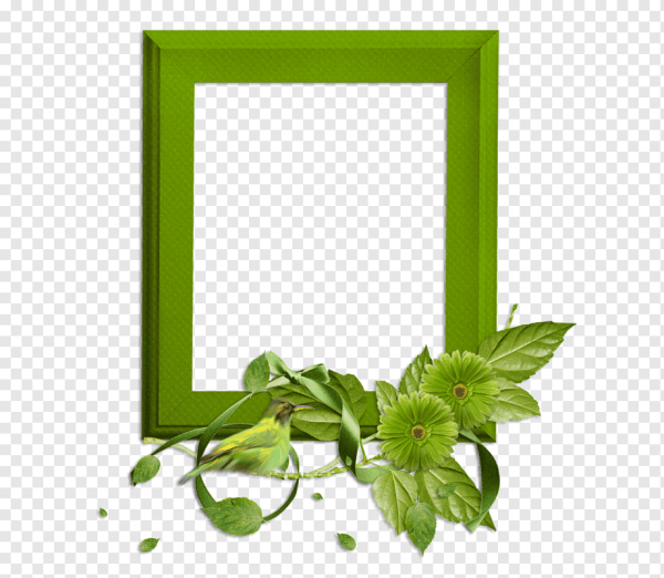 Рамка зеленая