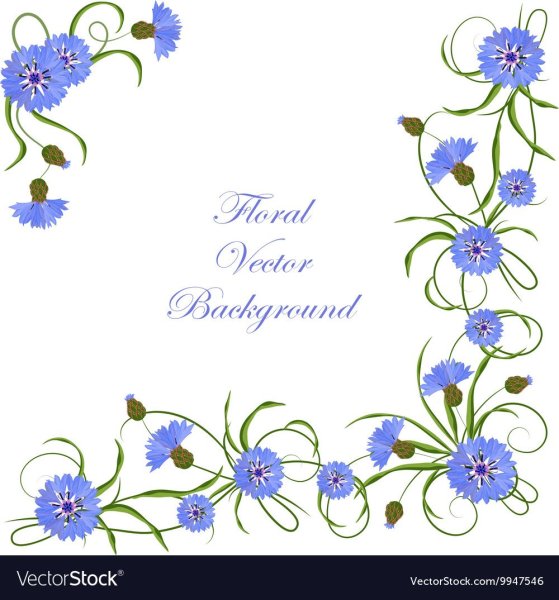 Рамочка с васильками