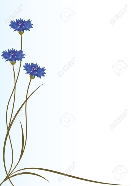 Уголки васильки