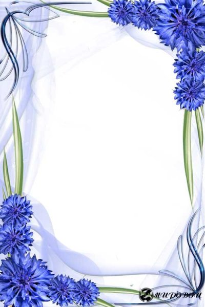 Рамка из Васильков