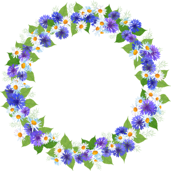 Цветы вокруг рамки