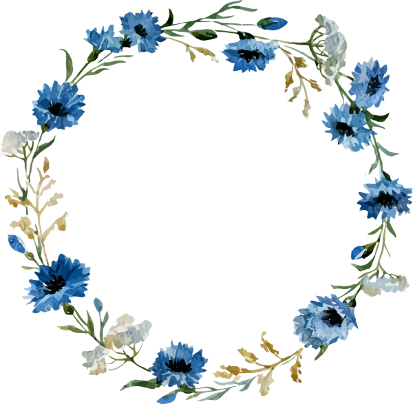 Венок из Васильков на прозрачном фоне