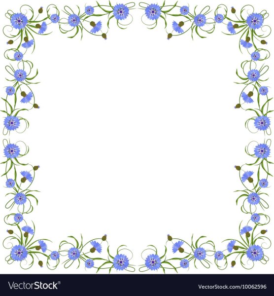 Рамка для текста васильки