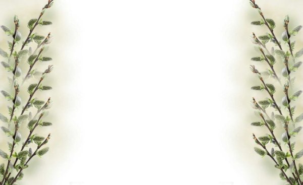 Веточки вербы рамка