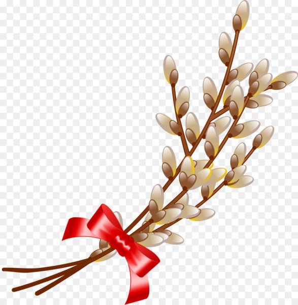 Вербная веточка