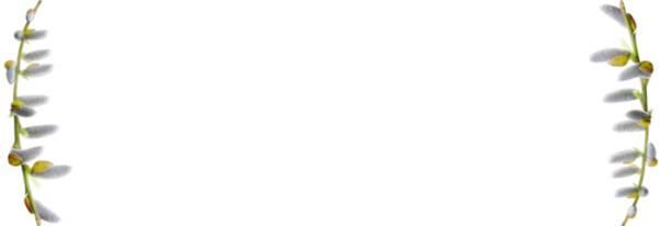 Рамка из вербы