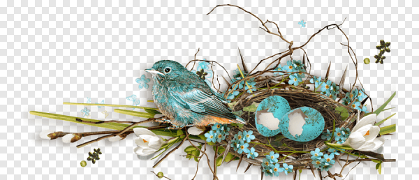 Винтажные весенние птицы на прозрачном фоне