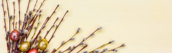 Пасха Верба