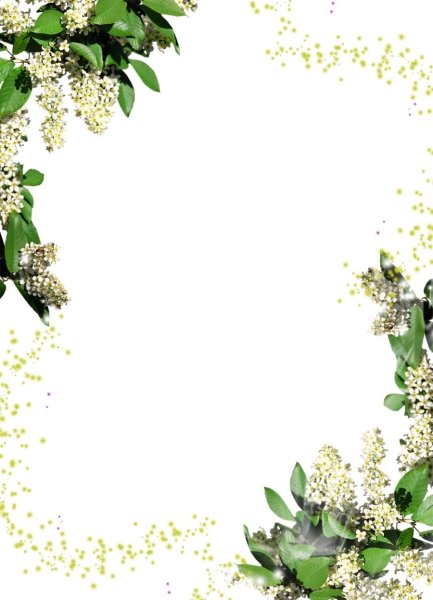 Рамочка Весенняя на прозрачном фоне