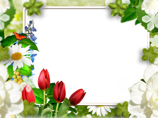 Фоторамка "цветы"