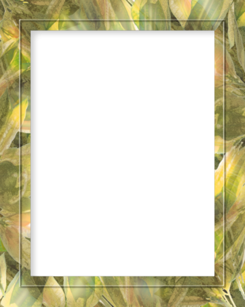 Армейская рамка