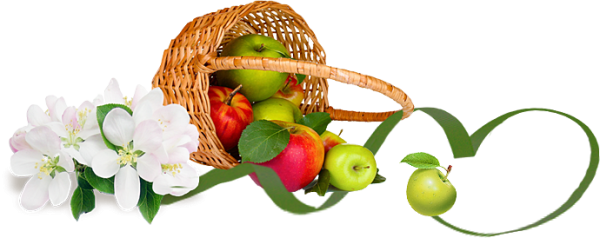 Яблочный спас на прозрачном фоне