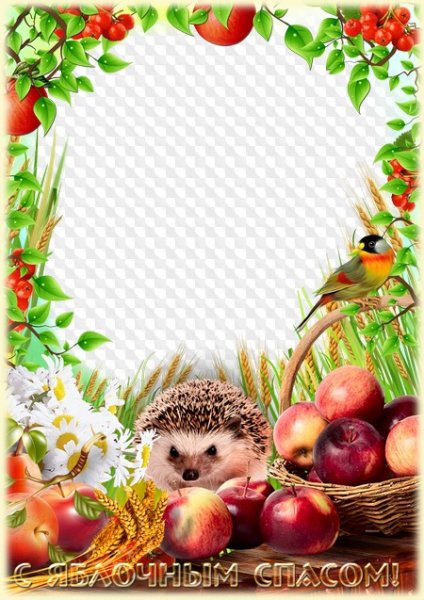 Рамка с яблоками