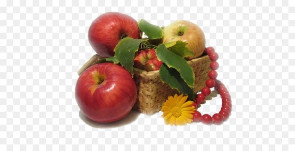 Август яблоки