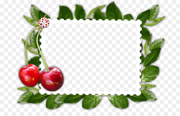 Фоторамки с ягодами