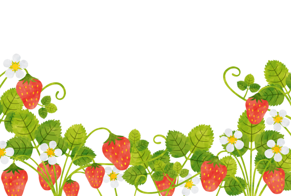 Рамка земляника на прозрачном фоне