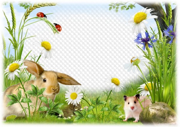 Рамка с домашними животными