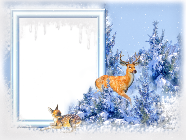 Рамка зимняя природа