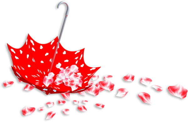 Цветы в зонтике на прозрачном фоне