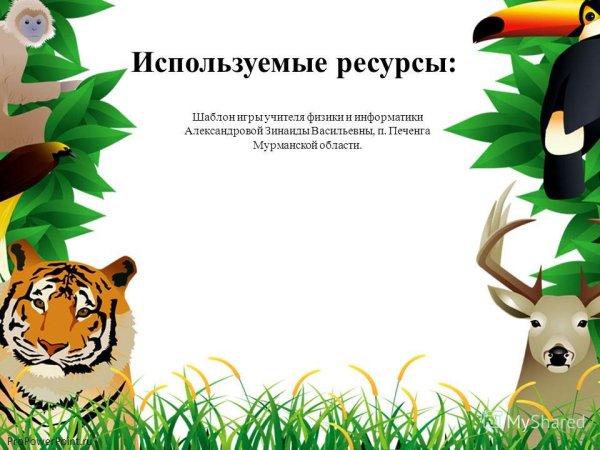 Фон для проекта про животных