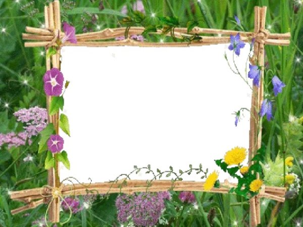 Рамка день села