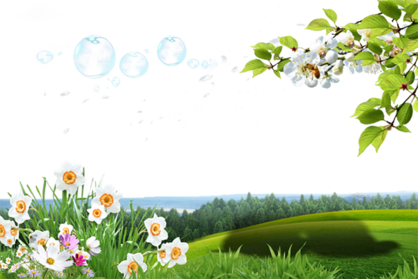 Природа на прозрачном фоне для фотошопа