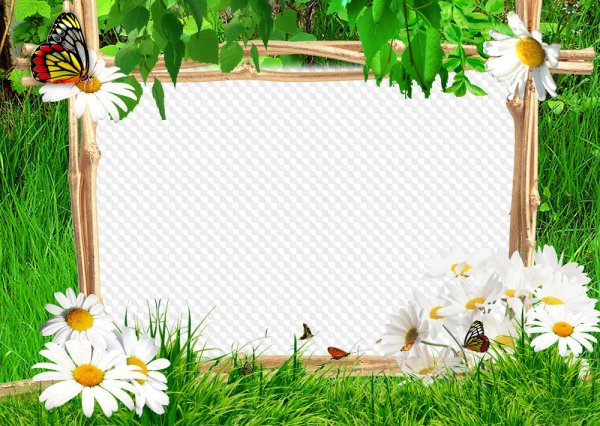 Красивая летняя рамка