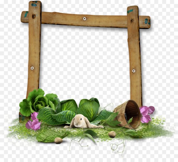 Рамочки огород