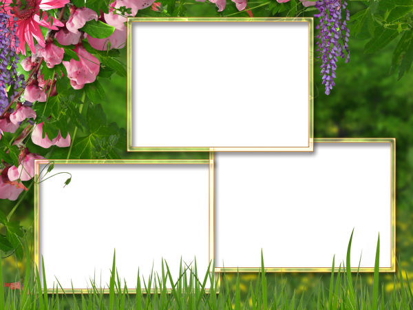 Рамка для коллажа