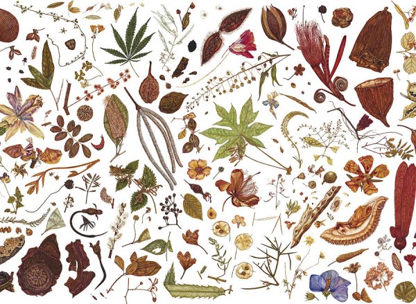 Ткань гербарий