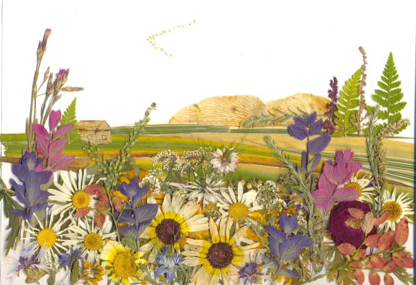 Пейзажи из засушенных растений