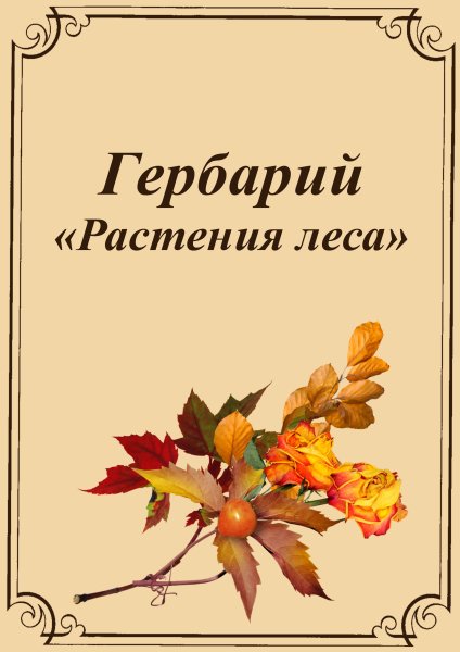 Гербарий титульный лист