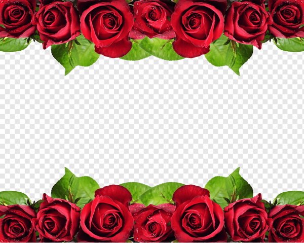 Рамка из роз