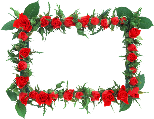 Фоторамка из роз