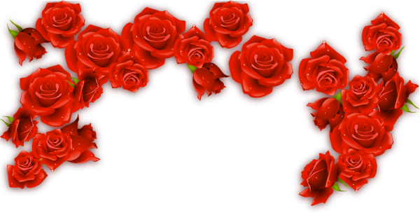 Уголок из роз на прозрачном фоне