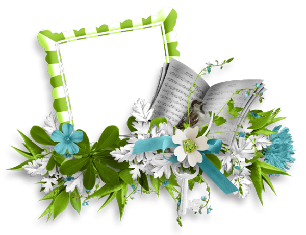 Книга с цветком на прозрачном фоне