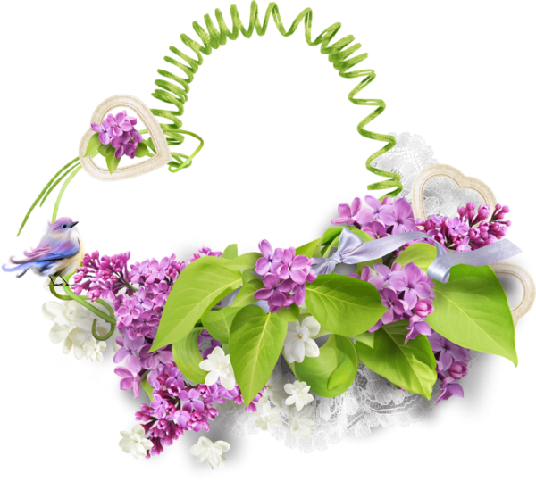 Весенние кластеры на прозрачном фоне