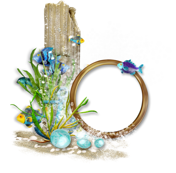 Рамочка морская на прозрачном фоне