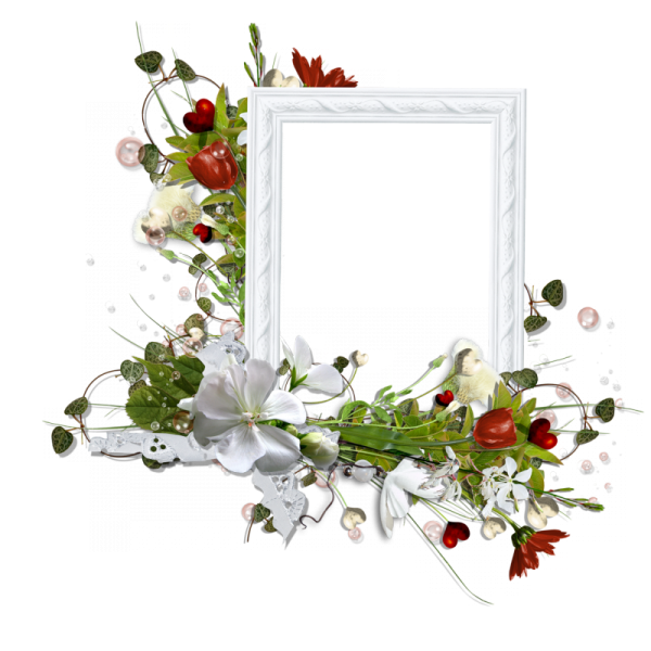 Рамка кластер