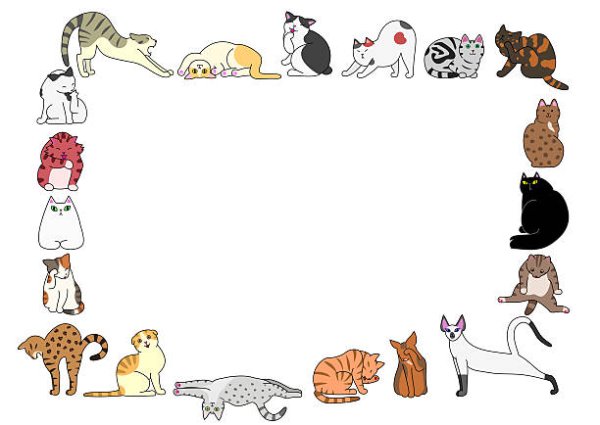 Шаблон для презентации кошки