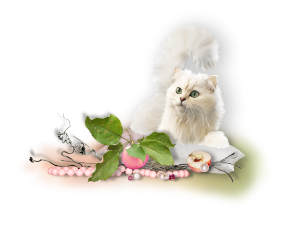 Скрап набор кошки