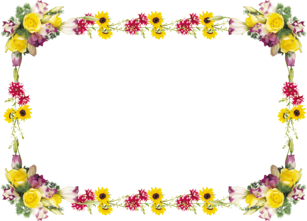 Рамка с цветами на прозрачном фоне