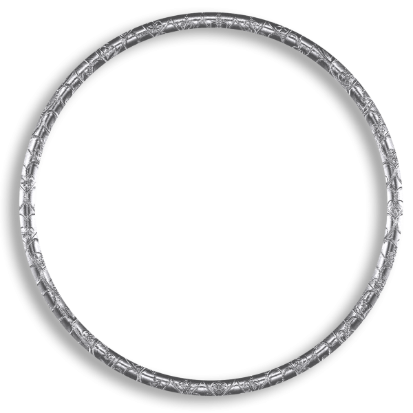 Серебристый круг