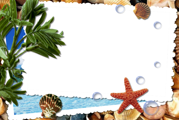 Рамка море