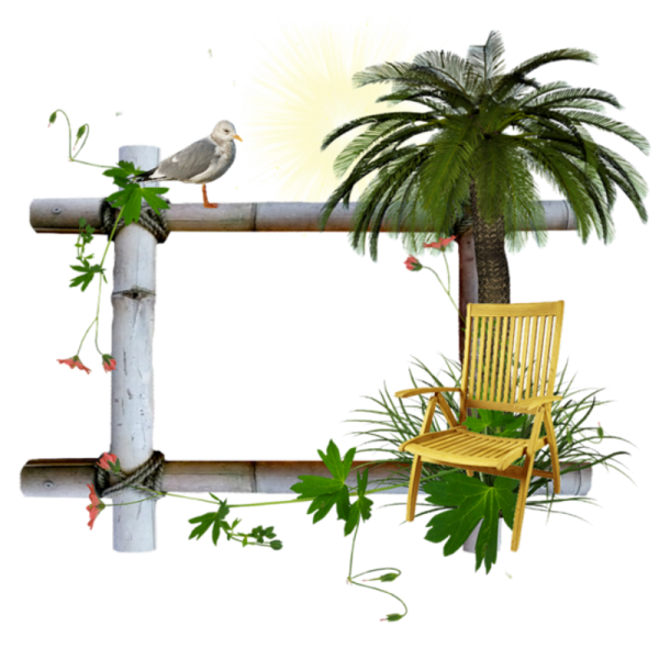 Фоторамка пальмы