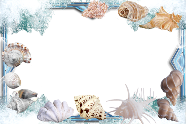 Красивая рамка морская
